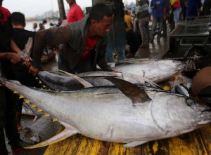 Ikan Tuna Hasil Tangkapan Nelayan Aceh Diekspor ke Sejumlah Negara