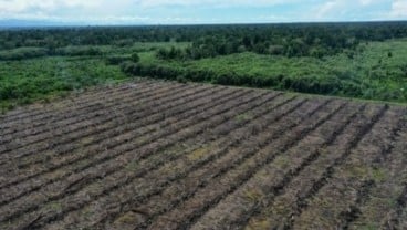 4.400 Hektare Hutan di Indramayu untuk Agroforestri