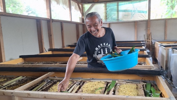 Usia Tidak Halangi Juju, Warga Sumedang Kembangkan Budi Daya Jangkrik