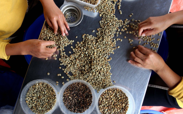 Ramalan Efek Domino Kenaikan Harga Kopi di Tingkat Ritel