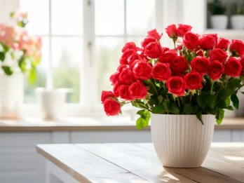 10 Tanaman Hias dan Bunga untuk Hari Valentine