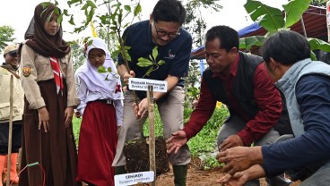 SMI Hijaukan Lahan Kritis di Jawa Barat Demi Kurangi Emisi Karbon