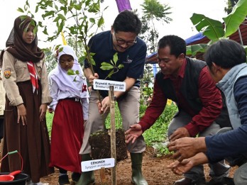 SMI Hijaukan Lahan Kritis di Jawa Barat Demi Kurangi Emisi Karbon