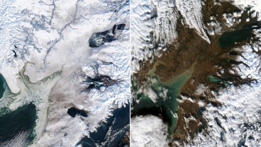 Pemanasan Global Bikin Suhu Panas dan Salju di Alaska Menghilang
