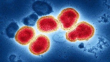 Ternyata, Virus influenza A Bisa Beradaptasi Sesuai Lingkungannya, Bisa Bermutasi