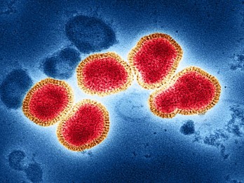 Ternyata, Virus influenza A Bisa Beradaptasi Sesuai Lingkungannya, Bisa Bermutasi