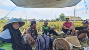 Dukung Program Kemandirian Pangan, Bulog Malang Mulai Serap Beras Petani