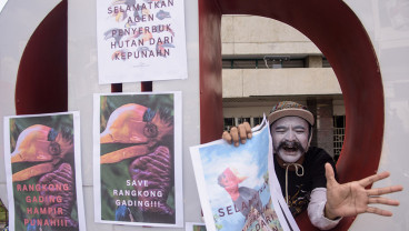 Aksi Hari Burung Rangkong