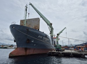 Rekor! Maumere Ekspor Perdana Kelapa Kupas Langsung ke Luar Negeri