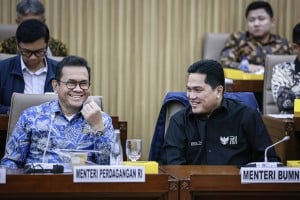 Raker Efisiensi Anggaran Belanja Kementerian/Lembaga Tahun 2025