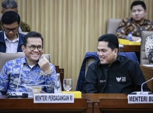 Raker Efisiensi Anggaran Belanja Kementerian/Lembaga Tahun 2025