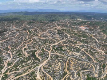 Seluruh Provinsi Alami Deforestasi Kecuali Jakarta pada 2024, Kalimantan Timur Tertinggi