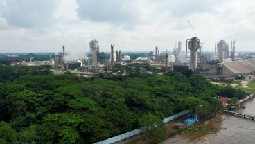 Pabrik Pupuk Pusri IIIB Ditarget Rampung 2027