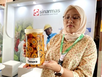 Agroforestri Sawit jadi Solusi Hadapi Krisis Lingkungan