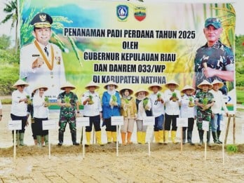 Targetkan Swasembada Pangan, Kepri Mulai Tanam Padi Perdana di Natuna