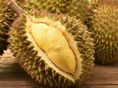 Berapa Batas Aman Konsumsi Durian dalam Sehari?