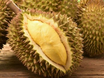 Berapa Batas Aman Konsumsi Durian dalam Sehari?
