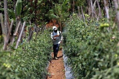 Pemprov Jawa Barat Dorong Peran Desa Mendukung Ketahanan Pangan