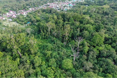 Perlindungan Alam Hutan Purba Ranjuri di Sigi