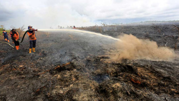 Kebakaran hutan dan lahan di Aceh Barat Semakin Meluas
