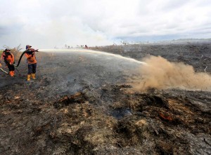 Kebakaran hutan dan lahan di Aceh Barat Semakin Meluas