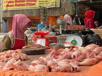 Harga Daging Ayam di Cirebon Naik Jelang Ramadan 2025