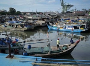 Pemerintah Tingkatkan Perlindungan dan Pemberdayaan Nelayan