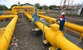 Kadin Soroti Harga Gas Industri RI Lebih Mahal dari Malaysia-Vietnam