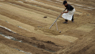 Target Serapan Gabah dan Beras Bulog Sulselbar