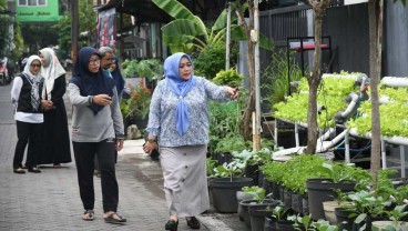 DPRD Imbau Pemkot Surabaya Dorong Pengembangan Program Urban Farming
