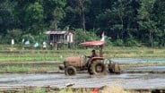 BI Dorong Perbankan di Bali Tingkatkan Pembiayaan ke Sektor Pertanian