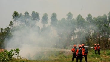 Sampai Februari 2025, Sudah Terdeteksi 136 Hotspot di Riau