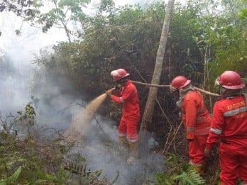 Apkasindo Riau Dukung Pencegahan Karhutla 2025