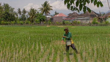 Tebar Optimis Lahan Pertanian dari Kepungan Kawasan Perumahan