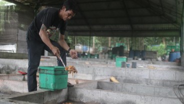 Merdeka Copper Gold Gandeng Warga Lokal Kelola Sampah Domestik