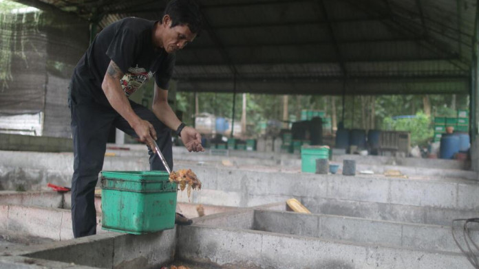 Merdeka Copper Gold Gandeng Warga Lokal Kelola Sampah Domestik