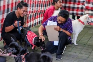 Weekend Dog Festival 2025 di Bali