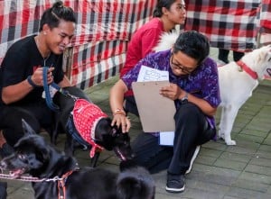 Weekend Dog Festival 2025 di Bali