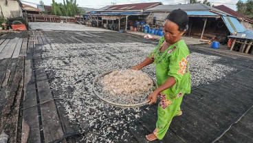 Hasil Tangkapan Nelayan di Jambi Anjlok Akibat Cuaca Buruk