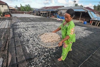 Hasil Tangkapan Nelayan di Jambi Anjlok Akibat Cuaca Buruk