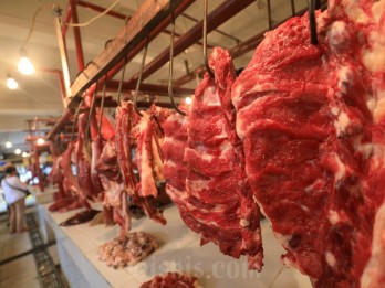 Bapanas: 4.000 Ton Daging Kerbau Masuk RI Bulan Ini