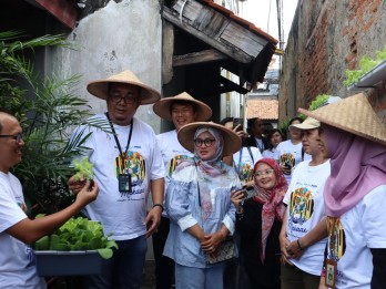 PNM Wujudkan Ketahanan Pangan lewat Urban Farming Lorong Mekaar