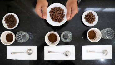 Nilai Tukar Petani Sumsel Terkerek Harga Komoditas Kopi