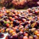 Harga TBS Sawit Riau Pekan Ini Naik jadi Rp3.713,64 per Kilogram
