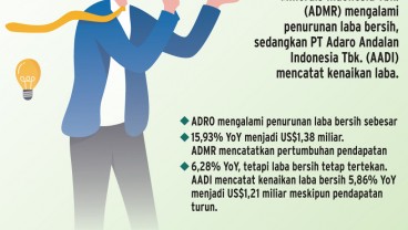 LAPORAN KEUANGAN 2024    : Kinerja Dinamis Grup Adaro