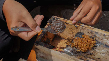 Permintaan Madu Alami Peningkatan Selama Bulan Ramadan