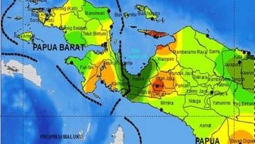 Korsel, Jepang, dan China, Negara Utama Tujuan Ekspor Papua Barat