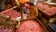 Pasokan Seret, Harga Bawang Merah di Cirebon Sentuh Rp45.000 per Kg