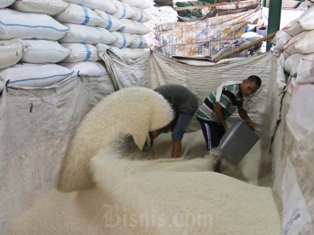 Mentan Amran: Stok Melimpah, Harga Beras Tidak Boleh Naik