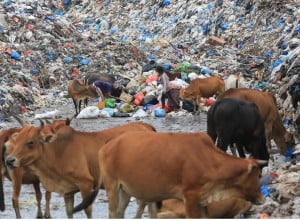 Peningkatan Volume Sampah Selama Ramadan